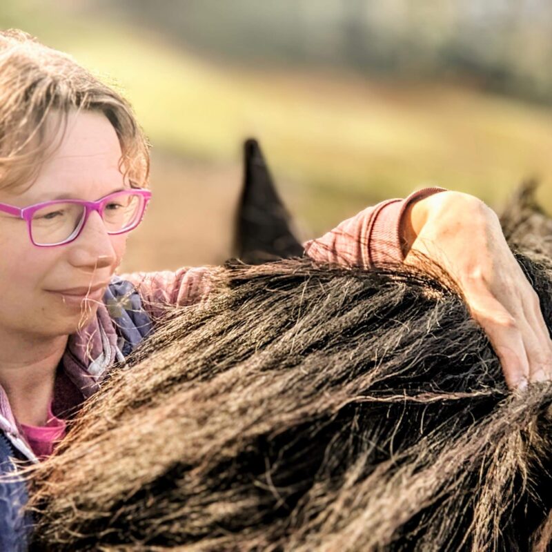 PXL_20240918_152030791~5